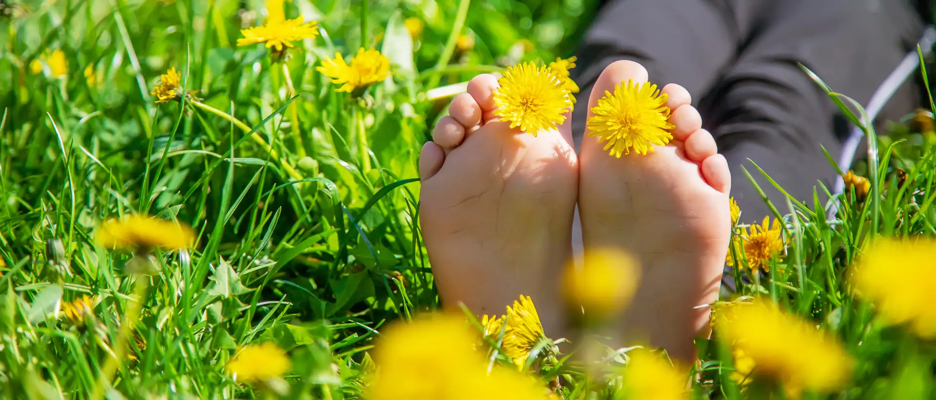 Ausflug in den Barfusspark mit der Familie