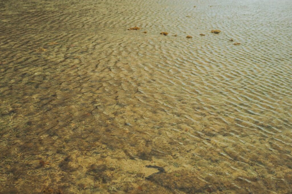Flaches, klares Wasser über Sandgrund am Ufer